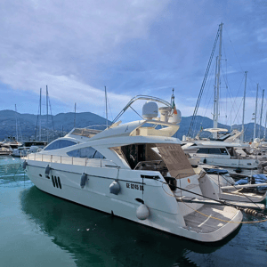 ABACUS 62 with two Smartgyro SG20 stabilizers installed