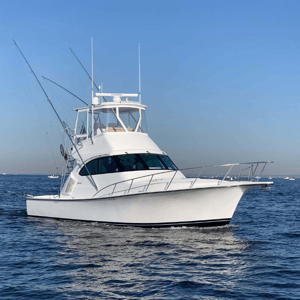 Henriques 42