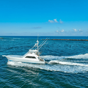 Viking 58 Rising Sons